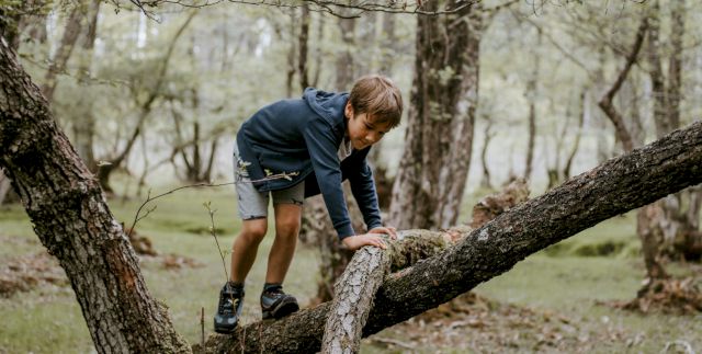 Schulbauberatung Phase 0 Phase Null